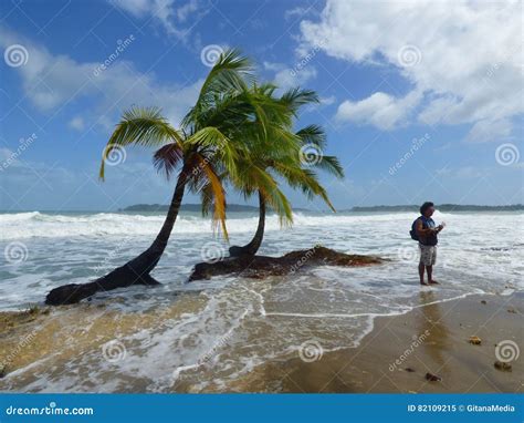 Tropical Beach And Guitar Player Stock Image Image Of Beach Tropical
