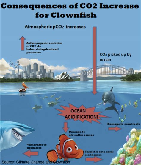 Acidosis Protecting Our Oceans