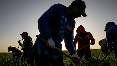 Expelling Immigrant Workers May Also Send Away The Work They Do The