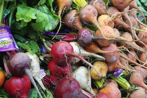 What Do Turnips Taste Like Discover These Delicious Roots Today