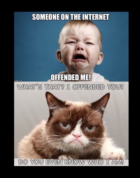 Did Grumpy Cat Offend You 😛 Grumpy Cat Funny Pictures Grumpy