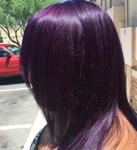 Ion Hair Color Purple Warehouse Of Ideas