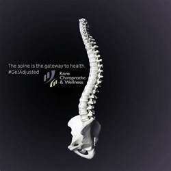 17 Best Images About Chiropractic Care On Pinterest Your Brain