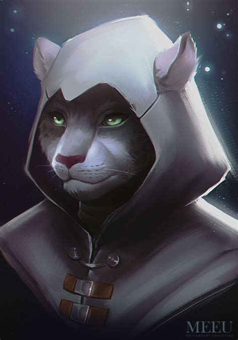 Tabaxi Cleric By C114u On Deviantart In 2022 Furry Art Fantasy Races