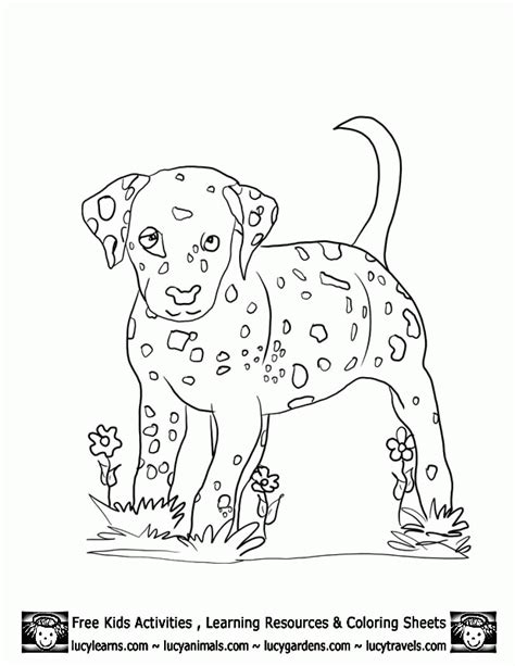 Select from 35429 printable crafts of. Dalmatian Dog Coloring Page - Coloring Home
