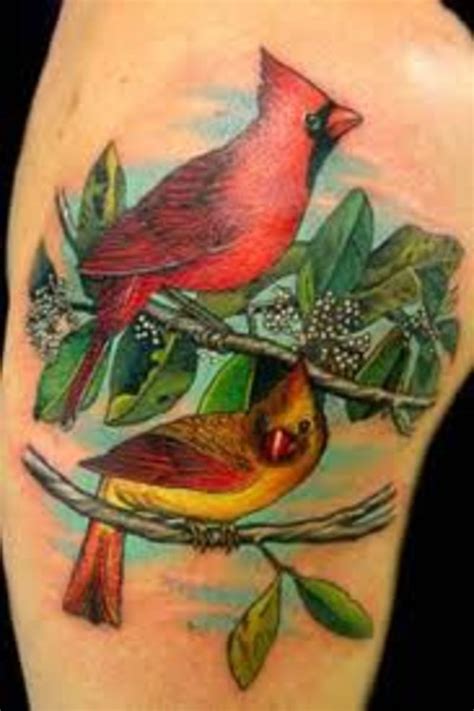 Mankind has always had a special connection to birds. Cardinal Tattoos And Designs-Cardinal Tattoo Ideas And ...