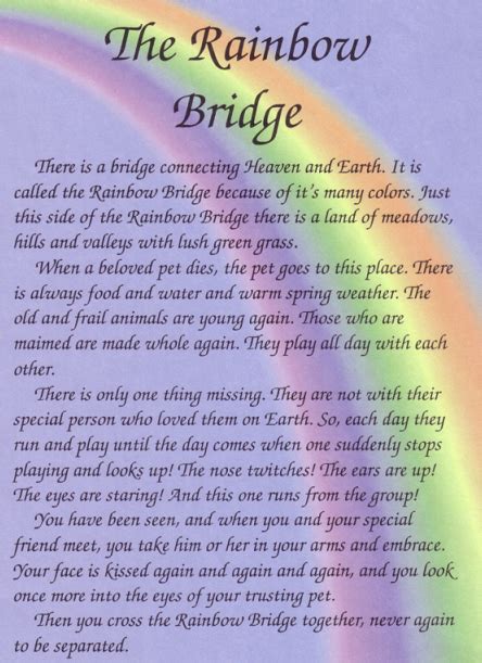 Pin By Jeanette Harris On Animals I Love Rainbow Bridge Poem Rainbow