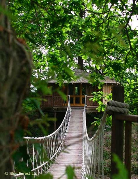 Eco Ewok Treehouses Finca Bellavista Rainforest Village