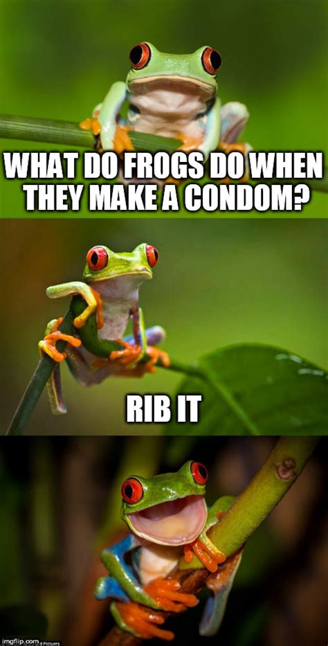 Frog Puns Imgflip