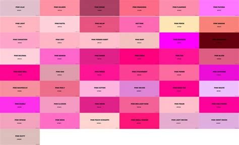 99 Macam Macam Warna Pink Beserta Penjelasan Lengkap