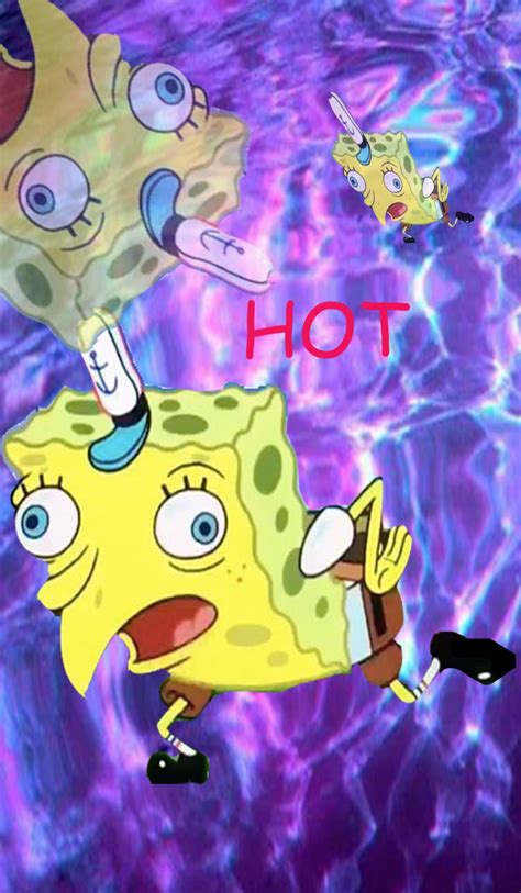 100 Spongebob Meme Wallpapers Wallpapers Com Riset