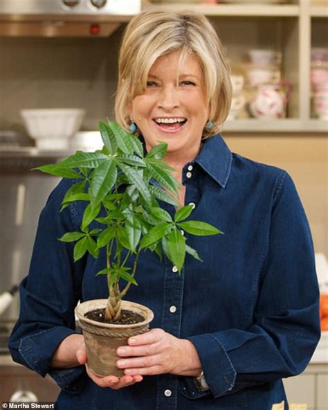Martha Stewarts New Role As Cannabis Adviser Daily Mail Online