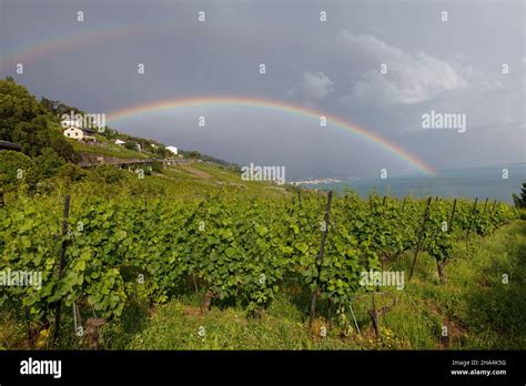 Double Rainbow Over Vineyards And Lake Stock Photo Alamy