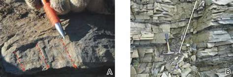 Post Orogenic Extensional Tectonics A Slickensides With Normal Sense