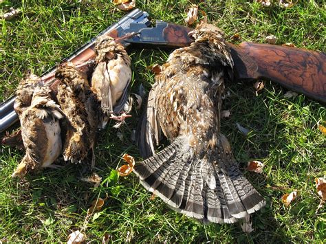 * vacuum pack on meat and sausages available for an extra $25. Five Reasons Why Michigan is the Best State for Hunting ...