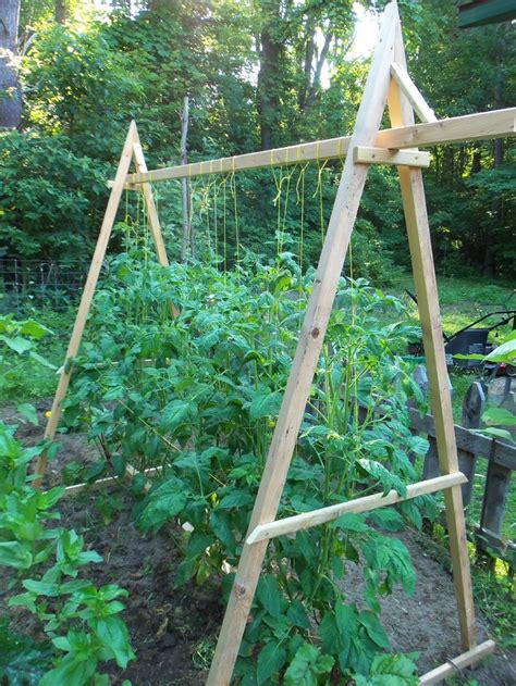 Tomato Trellis Better Than All Those Pesky Wire Cones Decorating The