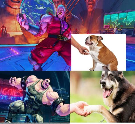 DemonDan14's fighting game-related dog memes 6 out of 10 image gallery