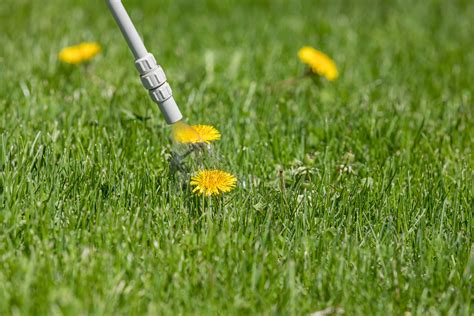 Choosing weed killers for lawns can often be confusing and you might worry about burning your lawn. DIY Weed Killer for Natural Lawn Care - INSTALL-IT-DIRECT