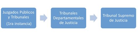 3 Estructura Del órgano Judicial Seguridad Digital Bolivia