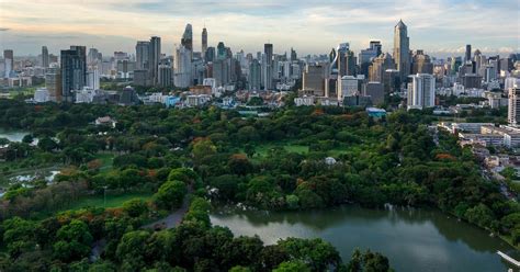 Learning Guide Urban Forests for Healthier Cities | Cities4Forests