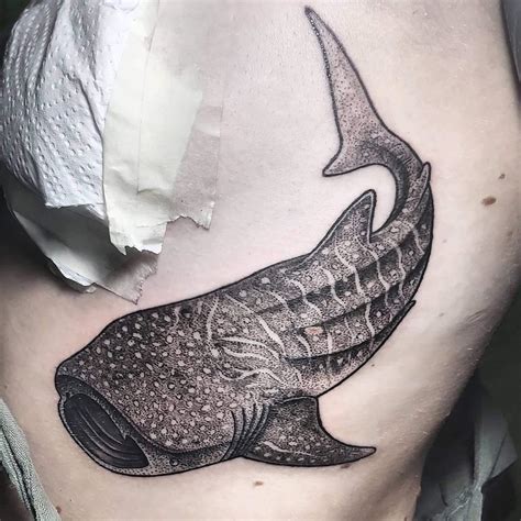 Pin By Nelis Schultz On Tattoos Shark Tattoos Whale Shark Tattoo