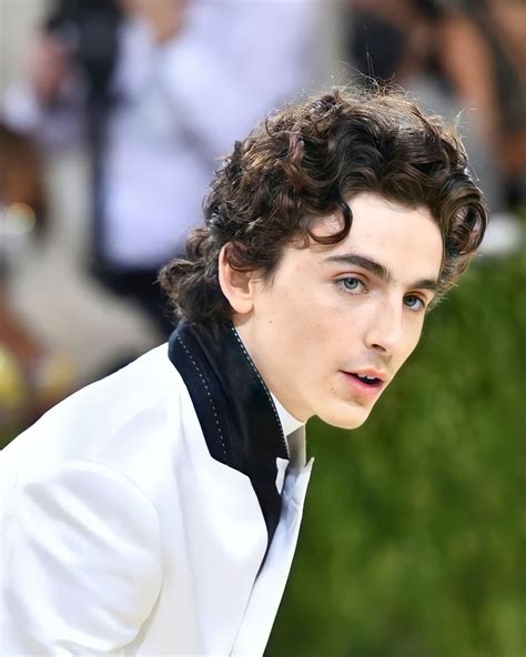 Timothée Chalamet Fanpage🌻 On Instagram “ㆍtimothee For Met Gala 2021 ㆍ I Miss You Timmy 🎇💫 ㆍ