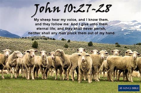 John 1027 28 King James Bible Facebook