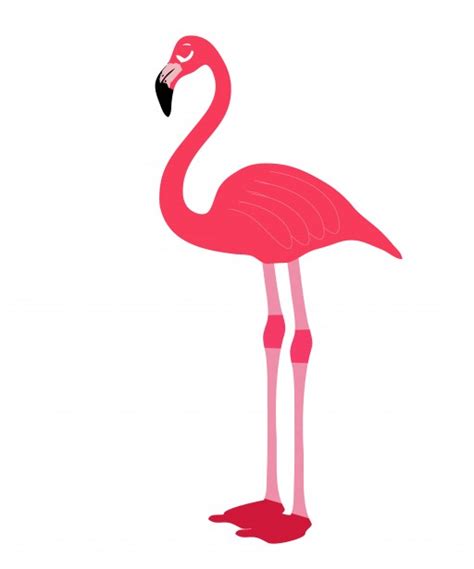 Pink Flamingo Bird Clipart Free Stock Photo Public
