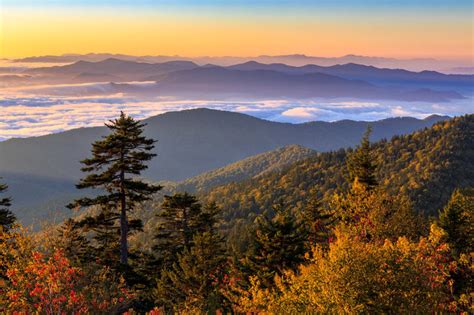 Top 10 Things To Do In The Smoky Mountains In March Smokies Adventure