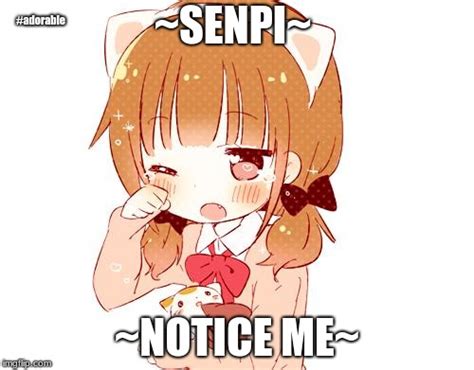 24 Anime Memes Notice Me Senpai Factory Memes