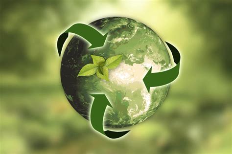 ¿en Qué Consiste El Reciclaje Eco Sitio Ecología Ambiente Y Energía