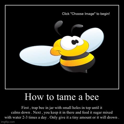 How To Tame A Bee Imgflip