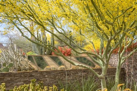 The Desert Botanical Garden In Phoenix Arizona Is Superbly Designed