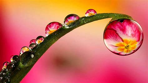 Download The Beauty Of A Single Water Drop