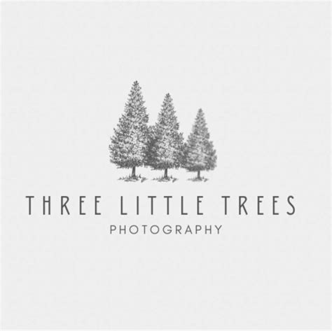 Three Little Trees Photography