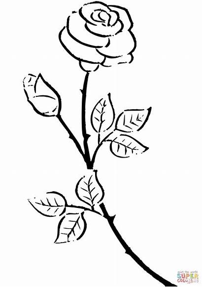 Rose Drawing Silhouette Flower Coloring Pages Aesthetic
