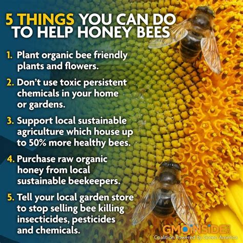 5 Ways To Help Honey Bees Bee Friendly Bee Keeping Bee Facts