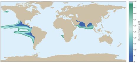 Global Marine Omz Distribution The Largest And Most Oxygen Depleted