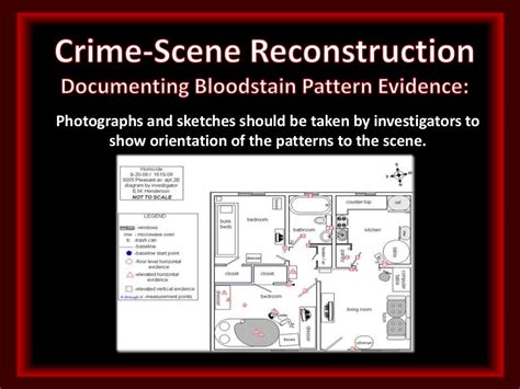 Crime Scene Reconstruction