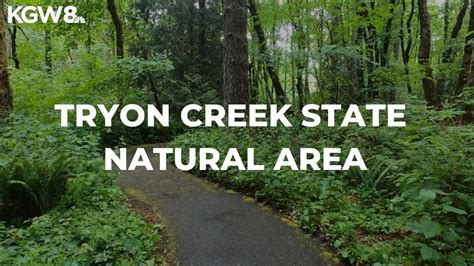 Exploring Tryon Creek State Natural Area Lets Get Out There Youtube