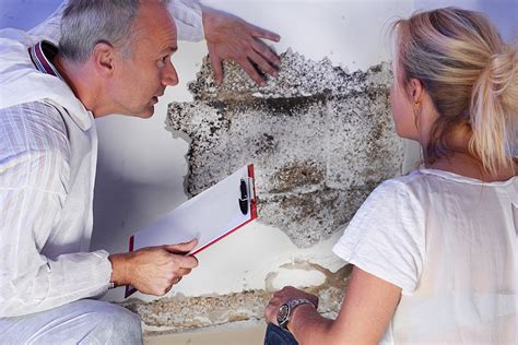 Best pest control around i mean they come in, get out and no problems! Blog | How To Choose An Exterminator in St. Louis