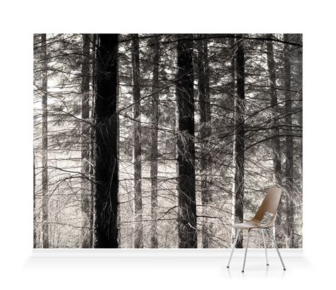 Forest Wallpaper Mural Surface View