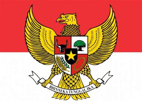 Gambar Burung Garuda Dan Penjelasannya Lambang Burung Garuda