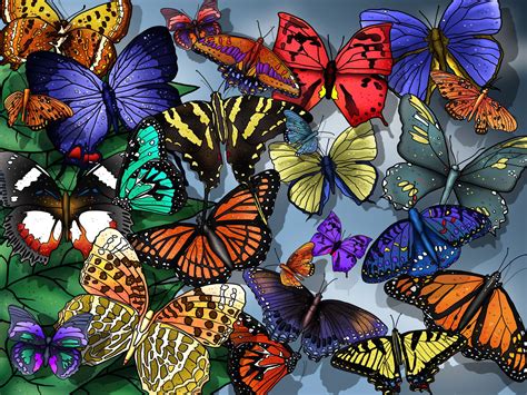 Butterflies Butterfly Wallpaper Art Wallpaper Butterfly Background