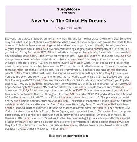 New York The City Of My Dreams Free Essay Example