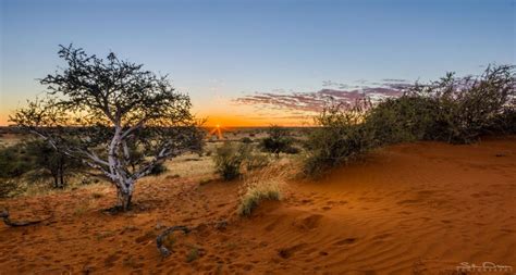 Kalahari Desert 1 Great Spots For Photography
