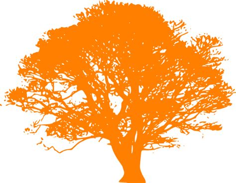 Free Orange Tree Cartoon Download Free Orange Tree Cartoon Png Images