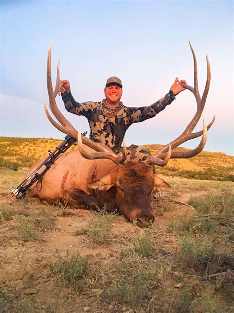 Trophy Bull Elk Hunting New Mexico Bmo Hunts