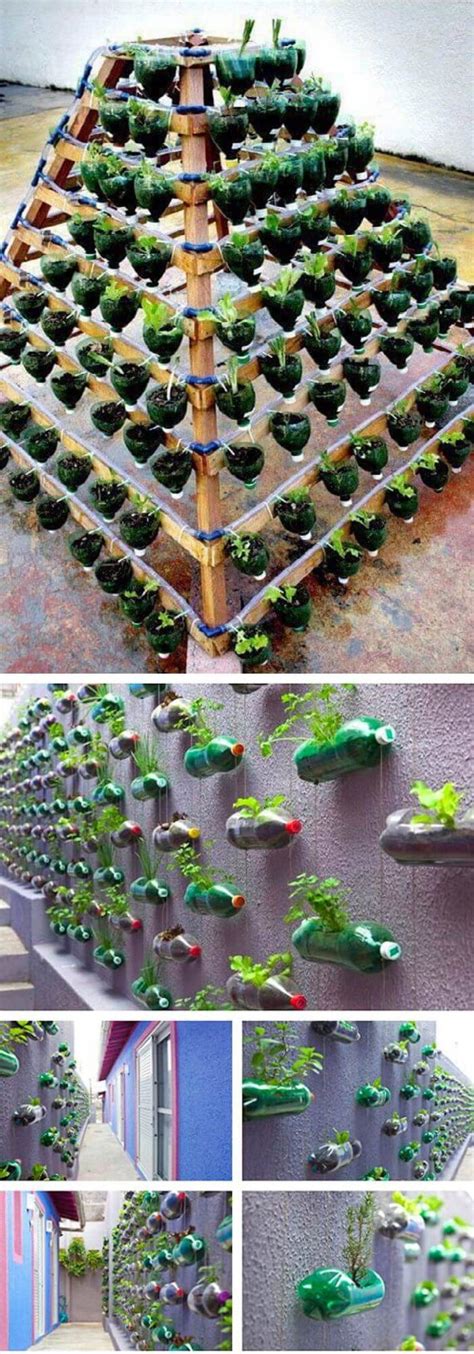 Cheap Diy Garden Ideas Images