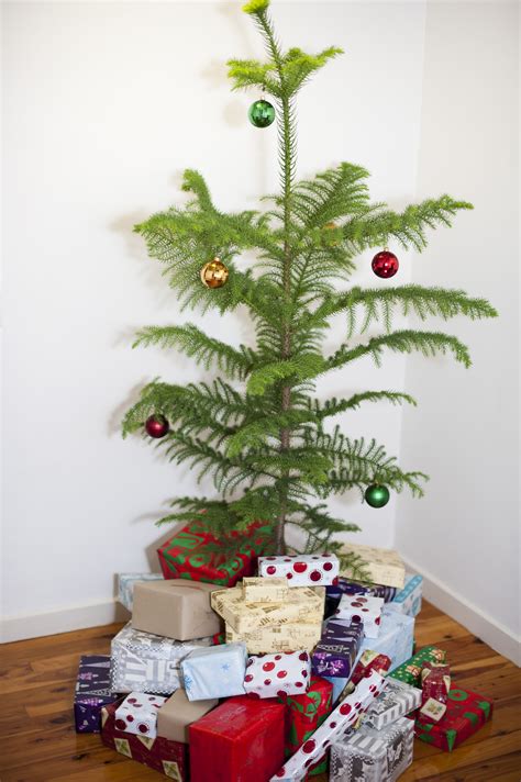 Photo Of Decorated Christmas Tree With Presents Free